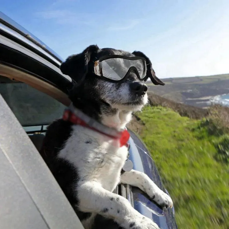 Stylish UV Protection Pet Goggles